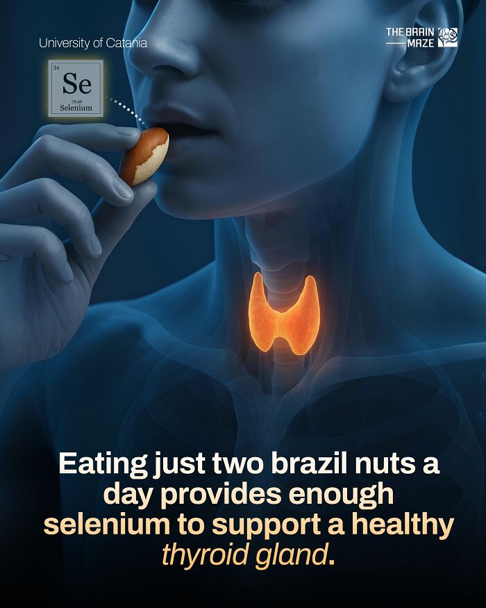 interesting-facts-brain-maze-6928054c2f0