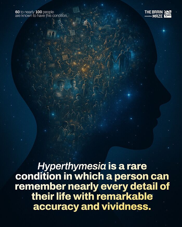 interesting-facts-brain-maze-6928060f40c