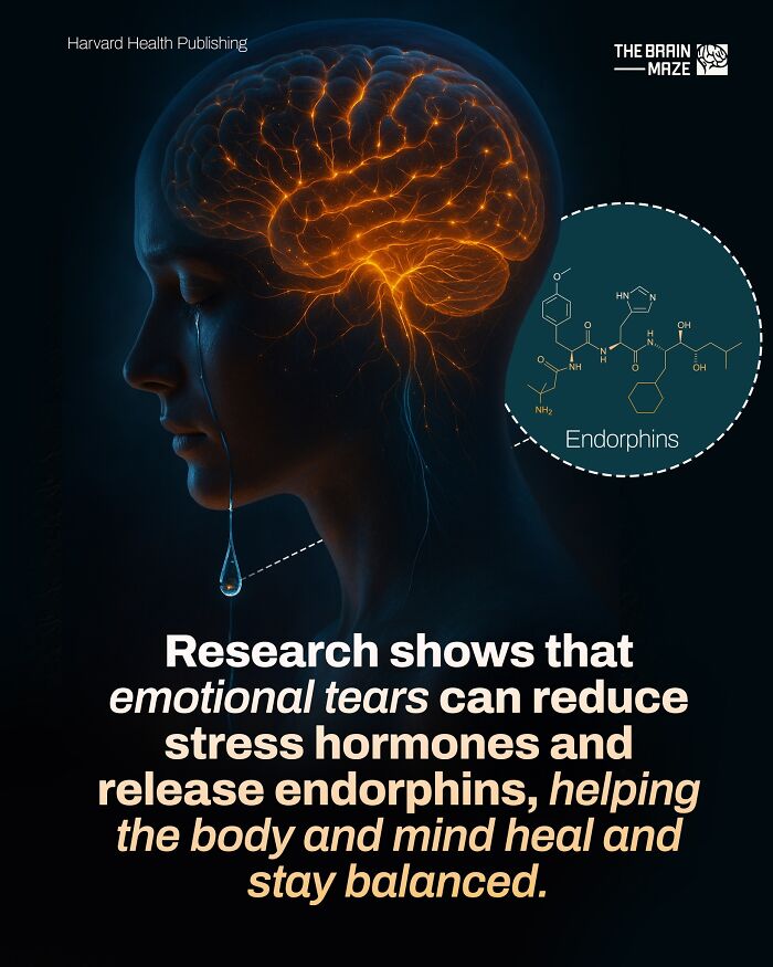 interesting-facts-brain-maze-69280710069