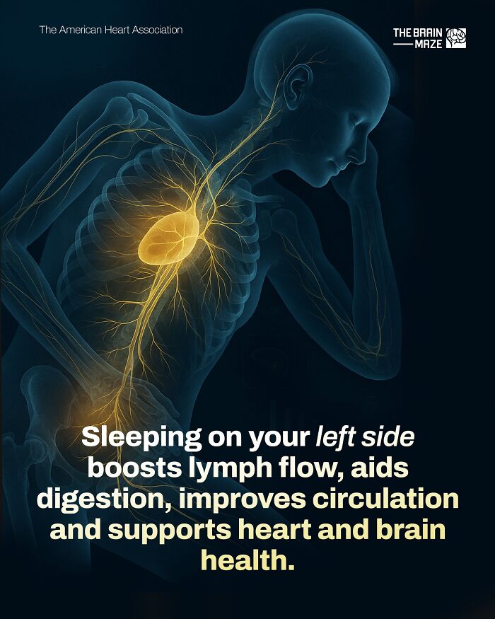 interesting-facts-brain-maze-69280744405