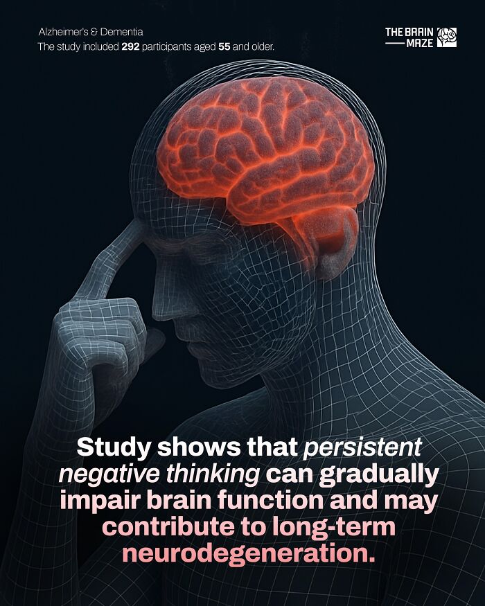 interesting-facts-brain-maze-692807aa71f