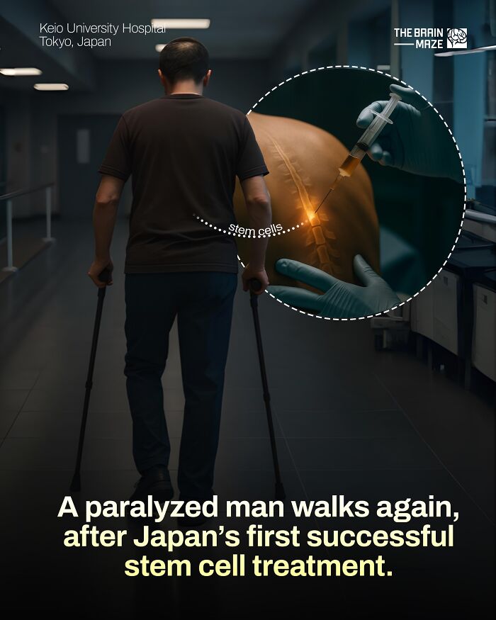 interesting-facts-brain-maze-692807b7453