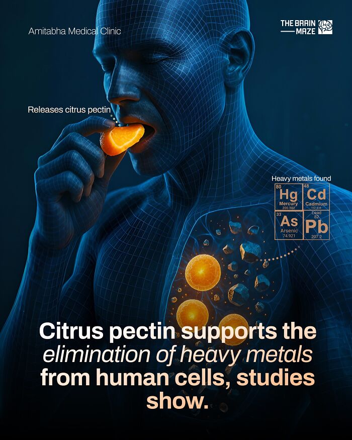 interesting-facts-brain-maze-692807ccdc7