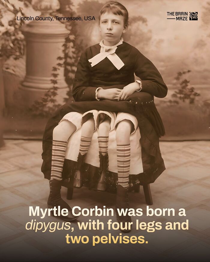 interesting-facts-brain-maze-692808b93f4