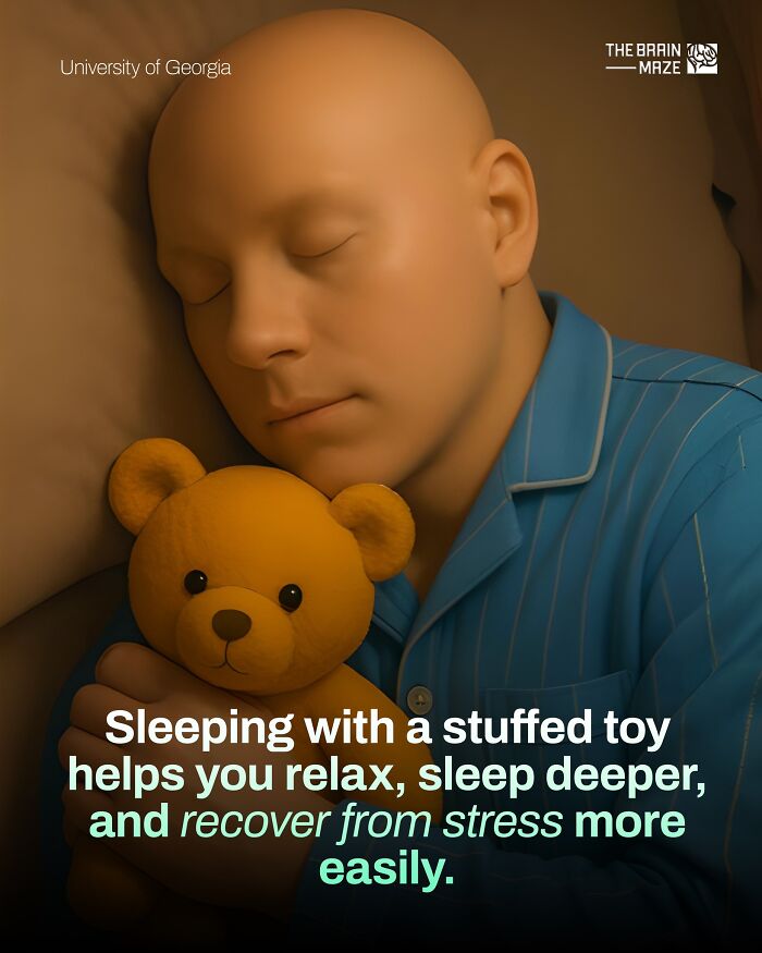 interesting-facts-brain-maze-69280989e1c