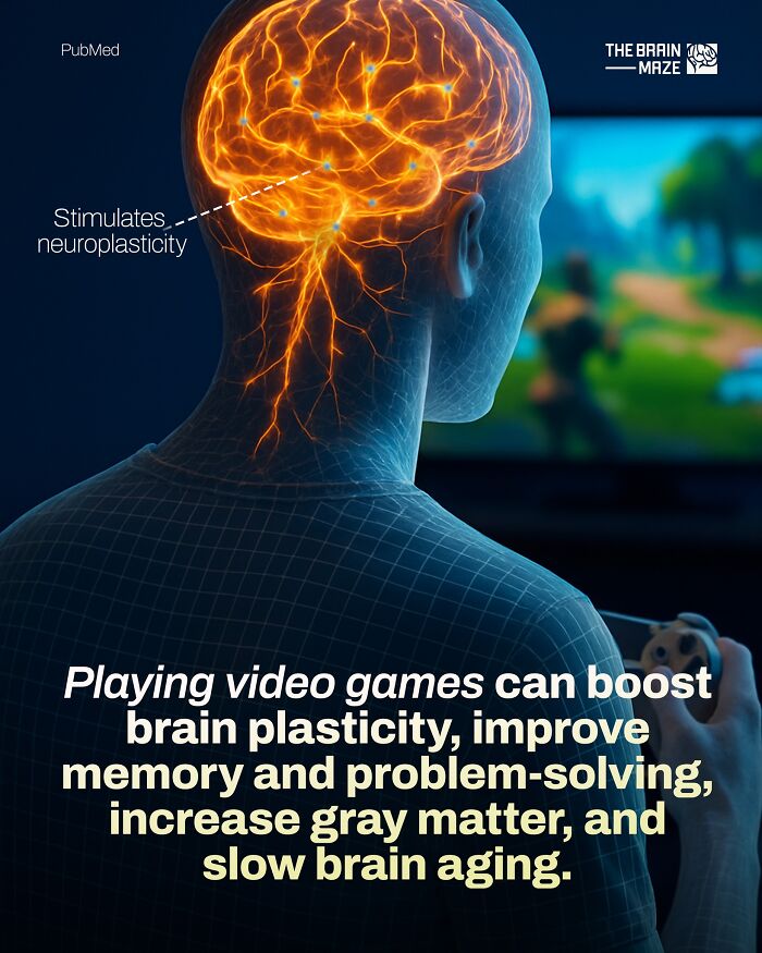 interesting-facts-brain-maze-692809985f9