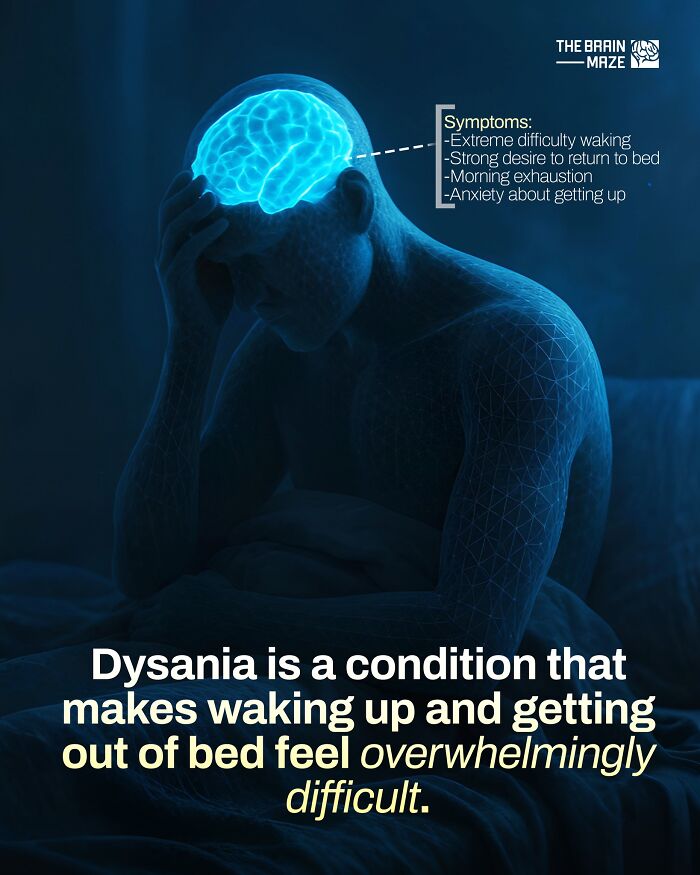 interesting-facts-brain-maze-692809ff467