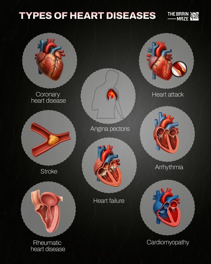 interesting-facts-brain-maze-69280af878f