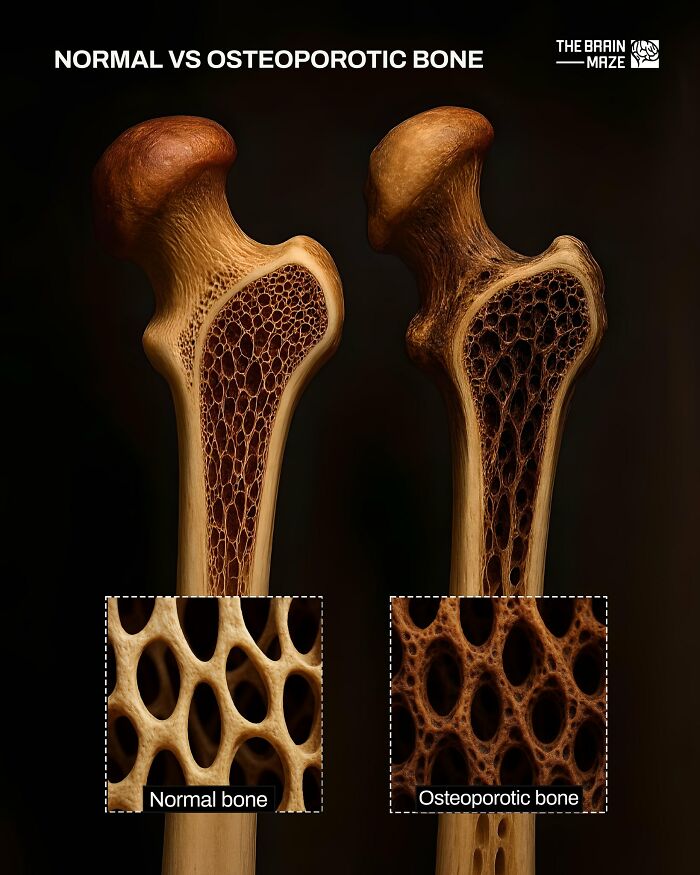 interesting-facts-brain-maze-69280df0b59