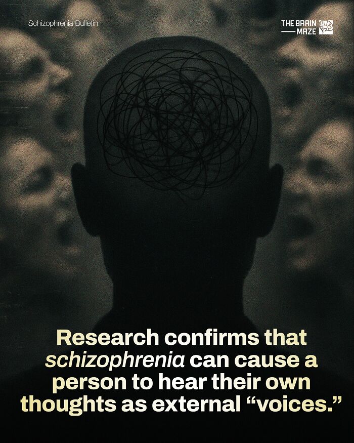 interesting-facts-brain-maze-69280e154a4