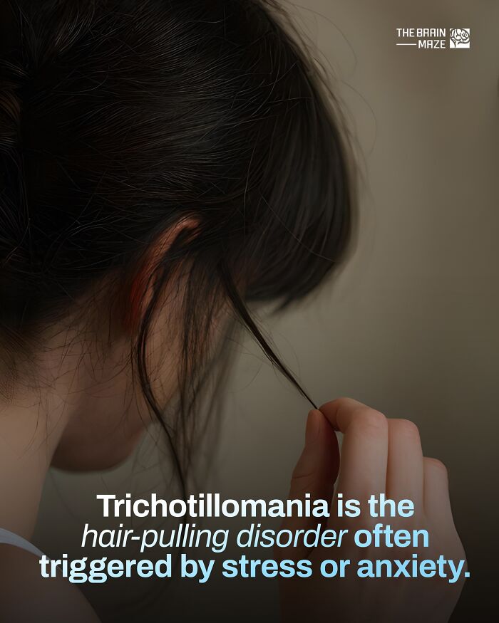 interesting-facts-brain-maze-69280e9b154