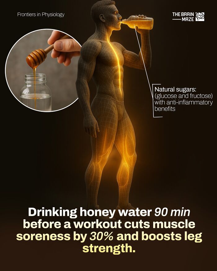 interesting-facts-brain-maze-69281095d9d