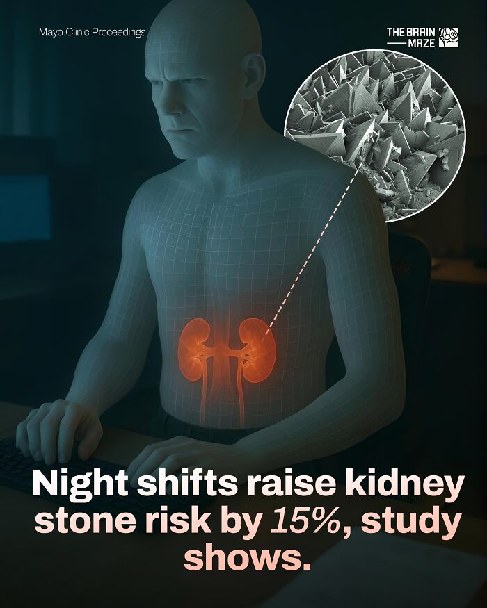 interesting-facts-brain-maze-6928110b4c1