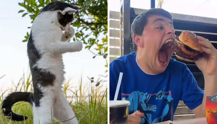 “Spill Now”: 80 Photos And Facts That Might Make You See Our World In A Different Light