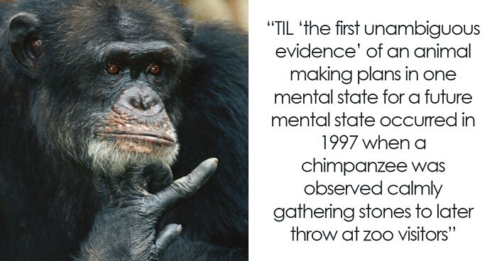 41 Intriguing “Today I Learned” Facts That Show How Little We Actually Know (New Facts)