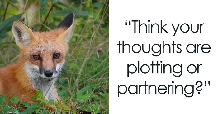 “Is Your Mind Working Against You?”: 30 Questions To Map Your Inner Playbook