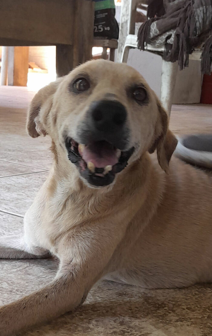 Please Meet Princess Jujuba (Jelly Bean)