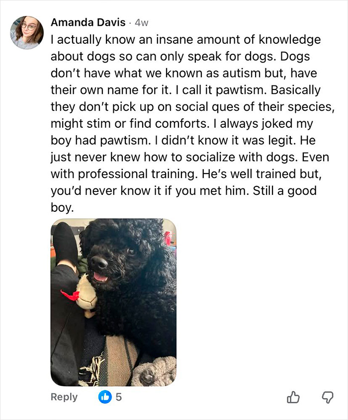 Comment explaining dog behavior linked to autism-like traits in dogs, discussing the concept of pawtism with a photo of a black poodle. Comment explaining dog behavior linked to autism-like traits in dogs, discussing the concept of pawtism with a photo of a black poodle.
