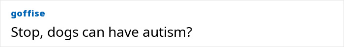 A curious dog looking up, illustrating the topic of dogs and autism in scientific research. A curious dog looking up, illustrating the topic of dogs and autism in scientific research.