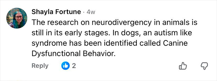 Comment discussing early research on autism-like syndrome in dogs called Canine Dysfunctional Behavior. Comment discussing early research on autism-like syndrome in dogs called Canine Dysfunctional Behavior.