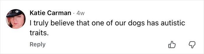 Comment from Katie Carman stating her belief that one of their dogs has autistic traits related to dogs and autism research. Comment from Katie Carman stating her belief that one of their dogs has autistic traits related to dogs and autism research.