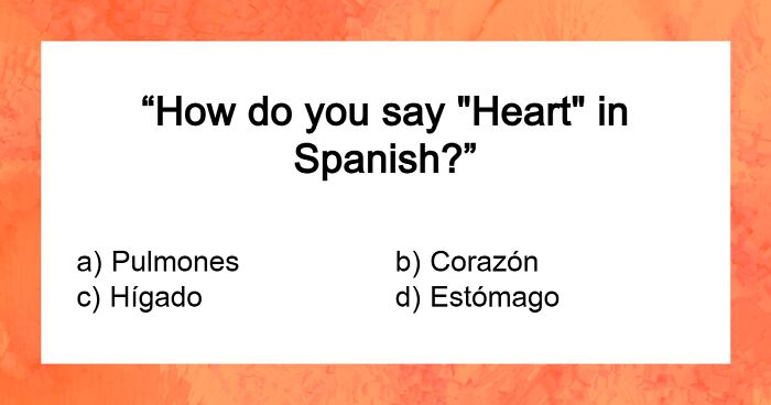 Test Your Language Knowledge By Matching These 25 Words To Their Translations
