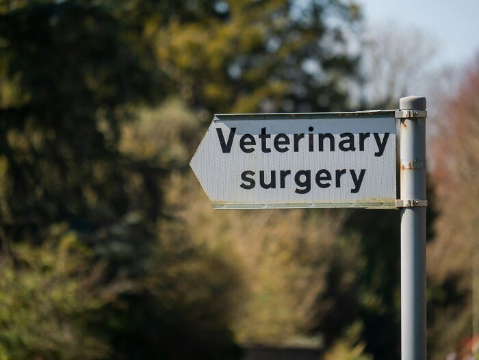 Road sign pointing to veterinary surgery, relating to rehoming boyfriend’s dog after abandonment for months. Road sign pointing to veterinary surgery, relating to rehoming boyfriend’s dog after abandonment for months.