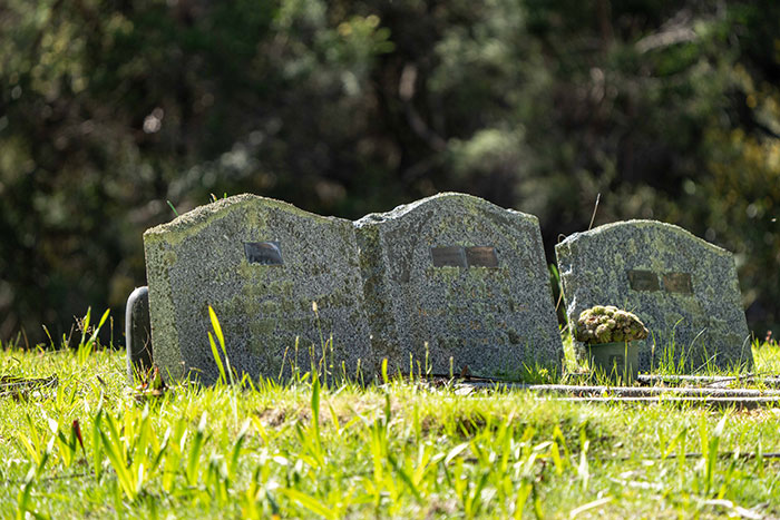 Three weathered grave markers on a sunny day with grass, illustrating a scene for mildly disturbing fact content.
