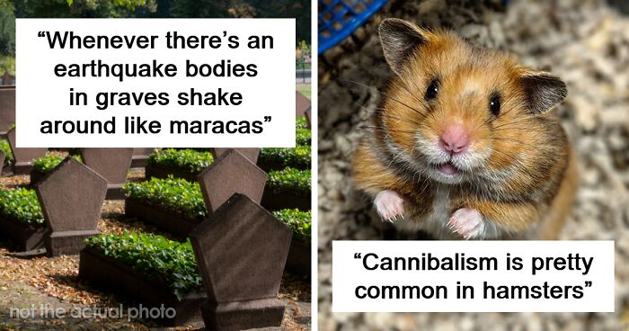 Someone Asked “What Is A Mildly Disturbing Fact?” And 58 People Delivered