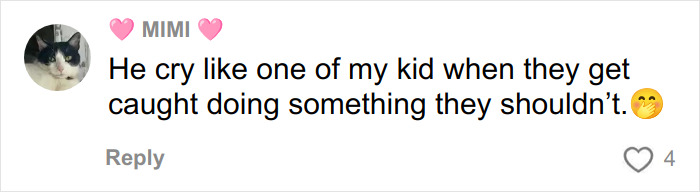 Comment on social media from user Mimi reacting to a situation involving Miss Mexico at Miss Universe controversy. Comment on social media from user Mimi reacting to a situation involving Miss Mexico at Miss Universe controversy.