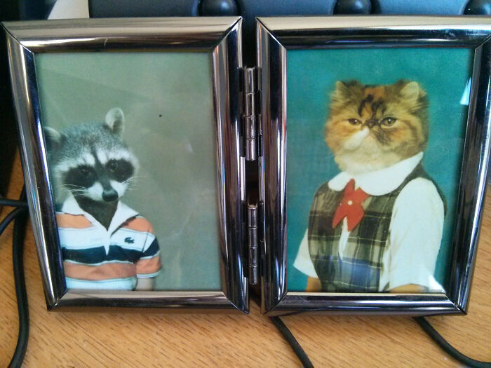 Photos of anthropomorphic raccoon and cat dressed in human clothes, fitting the theme of employees with jokes and pranks.