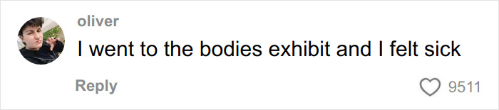 Comment by user Oliver saying he went to the bodies exhibit and felt sick, referencing skinned body display in Las Vegas museum.