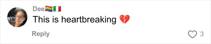 Comment by Dee with pride and Italy flags, expressing heartbreak with a broken heart emoji on social media post. Comment by Dee with pride and Italy flags, expressing heartbreak with a broken heart emoji on social media post.