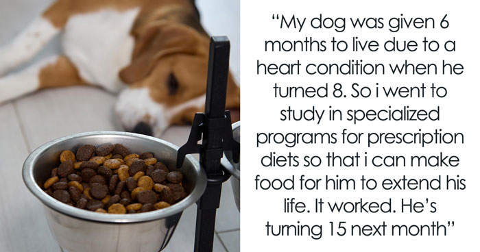 29 Borderline Crazy Things People Were Down To Do For Their Dogs