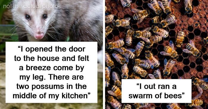 58 Times Wildlife Reminded Humans They’re Not Nearly As Tough As They Think