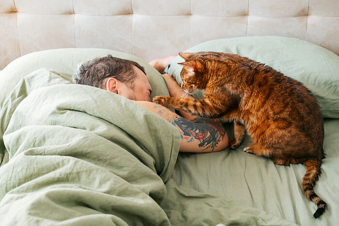 Man sleeping in bed with a cat playfully pawing at his arm, highlighting funny feuds with multiple pets.