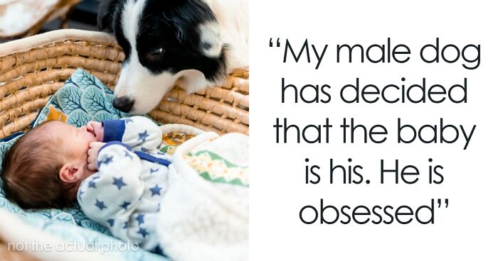 47 Pet Owners Share The Biggest Beef Their Animals Have Going On Right Now