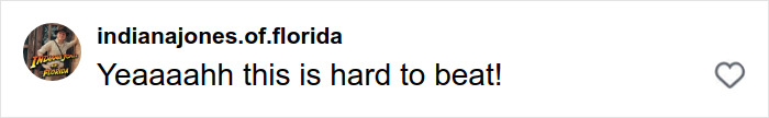 Comment saying Yeaaaahh this is hard to beat, expressing admiration for Neil Patrick Harris family Halloween win. Comment saying Yeaaaahh this is hard to beat, expressing admiration for Neil Patrick Harris family Halloween win.