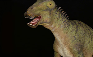 Nigersaurus Dinosaur Stuns Scientists With A Jaw That Contains 500 Teeth