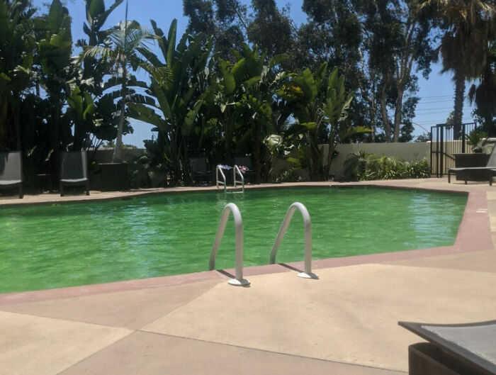 47 Loopholes That Were So Good People Just Needed To Exploit Them Until They Were Found Out