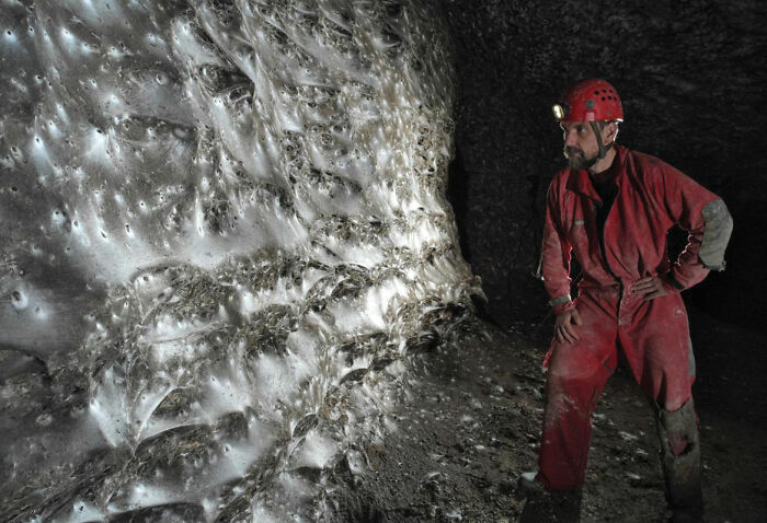 Caver in red suit examines the world’s biggest spider web inside a dark cave, covered with massive thick spider silk. Caver in red suit examines the world’s biggest spider web inside a dark cave, covered with massive thick spider silk.