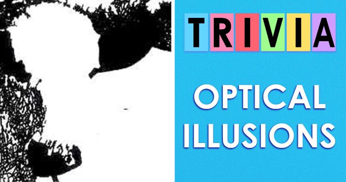 The Ultimate Visual IQ Test: Decode All 25 Mind-Bending Optical Illusions