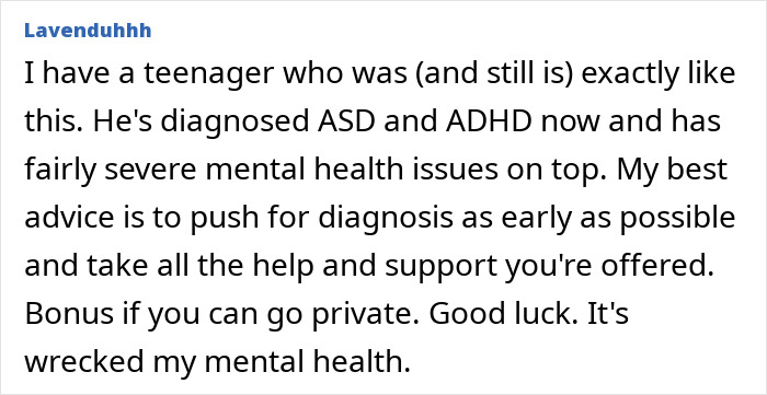 Comment from a woman sharing her struggle with a three-year-old’s daily screaming and meltdowns affecting family life.