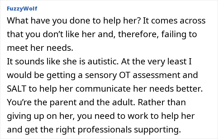 Screenshot of an online comment discussing challenges with a 3-year-old's daily meltdowns and the impact on family life.