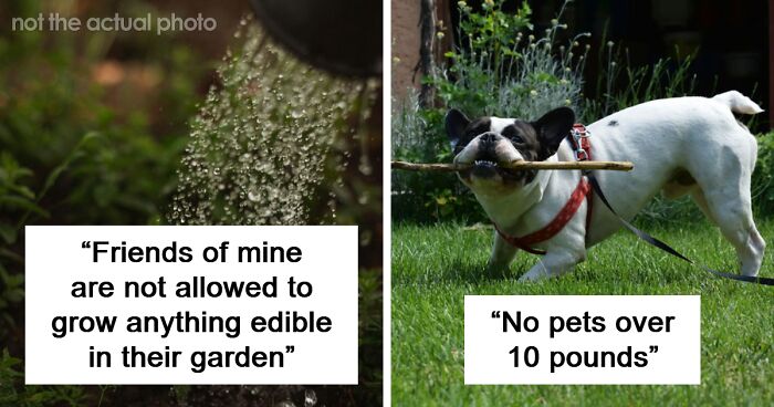 People Are Fed Up With HOAs And These 54 Dumb Rules Explain Why