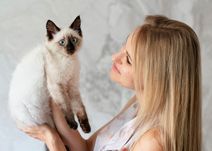 Woman holding a Siamese kitten with blue eyes, showcasing one of the most intelligent pets people have ever had.