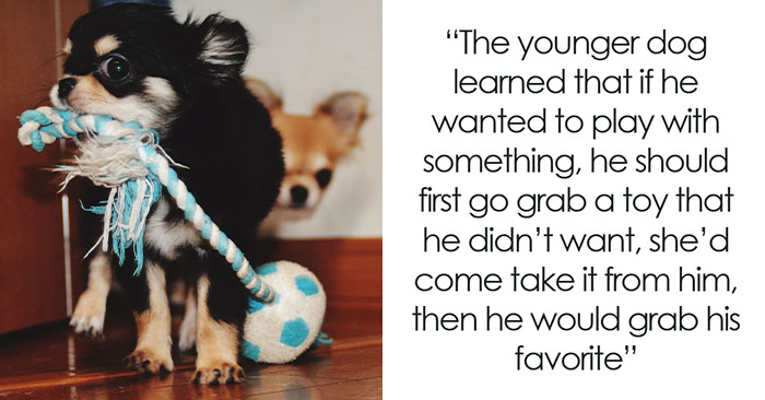 61 Amazing Stories About The Most Intelligent Pets People Have Ever Had