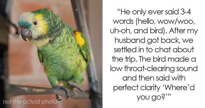 46 Pet Owners Who Suddenly Realized Their Pet Was Actually Quite Intelligent