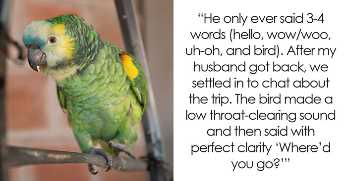 46 Pet Owners Who Suddenly Realized Their Pet Was Actually Quite Intelligent