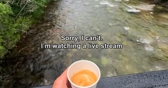 76 Unhinged Pics Of People Doing Exactly What They Were Asked To Do (New Pics)